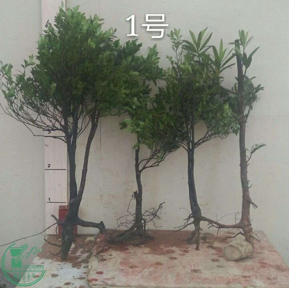 QQͼƬ20160502185847.jpg