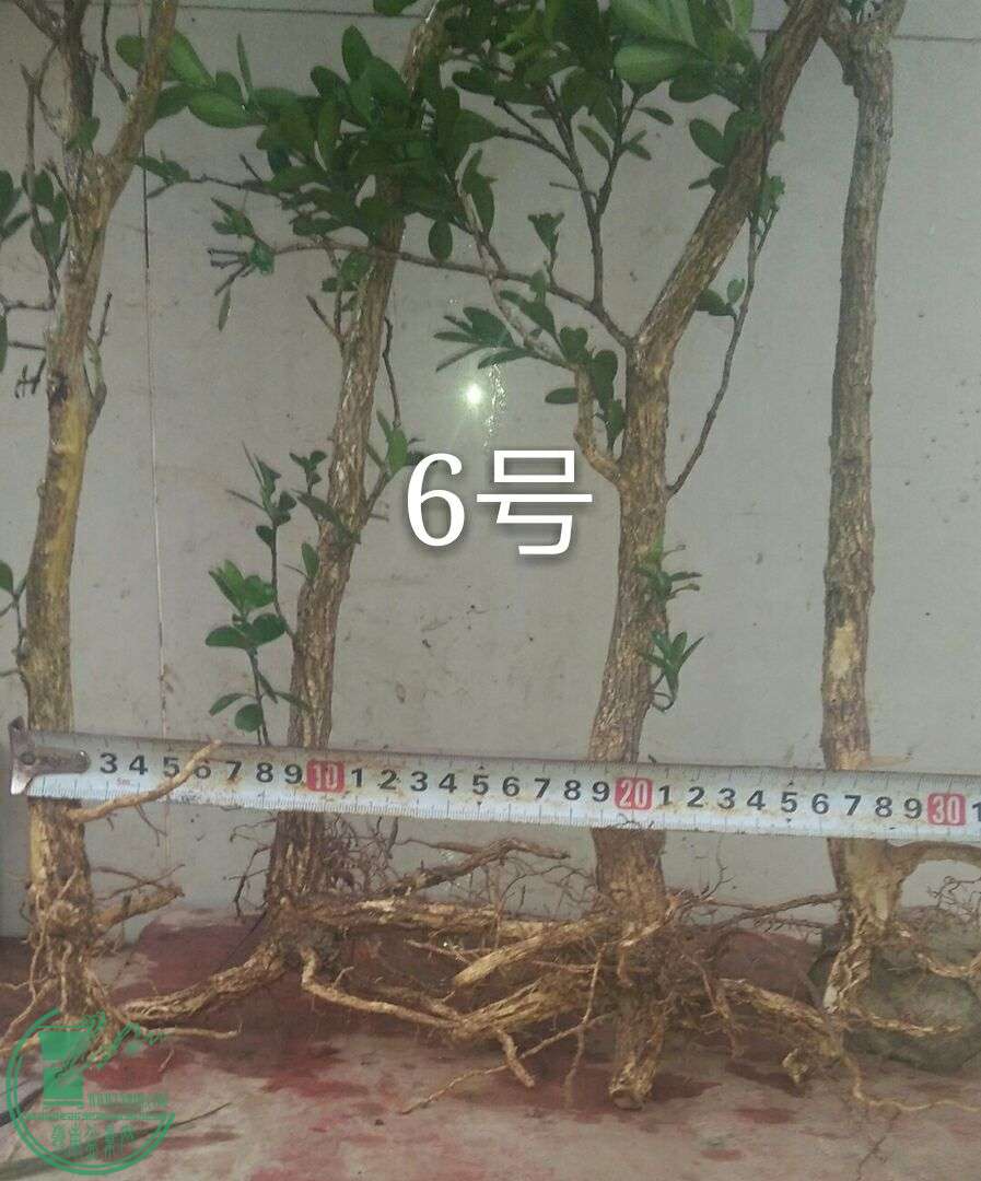 QQͼƬ20160502185800.jpg