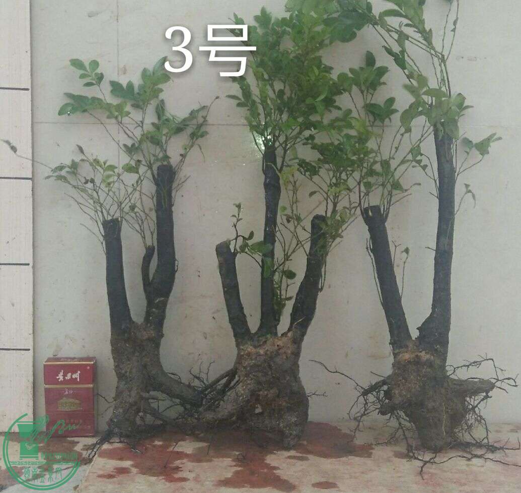 QQͼƬ20160502185804.jpg