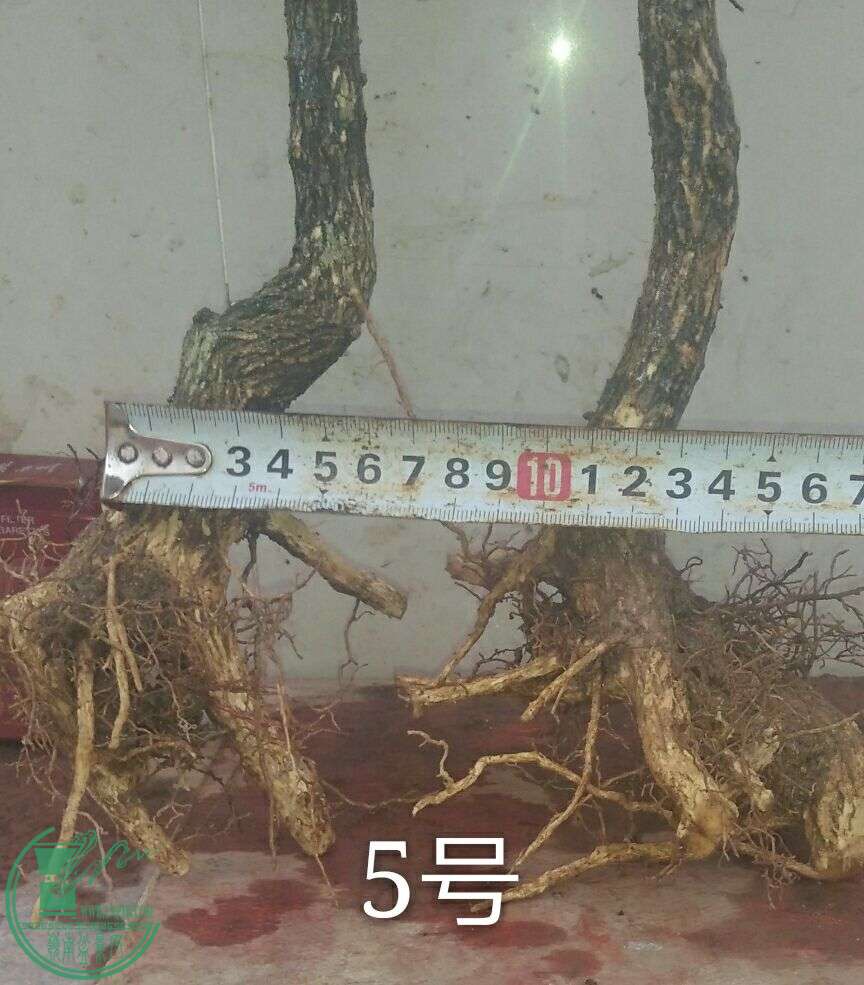 QQͼƬ20160502185741.jpg