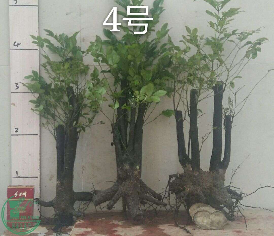 QQͼƬ20160502185735.jpg