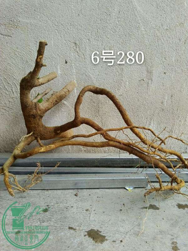 50b82bb06bcc9349_mh1462273367909.jpg
