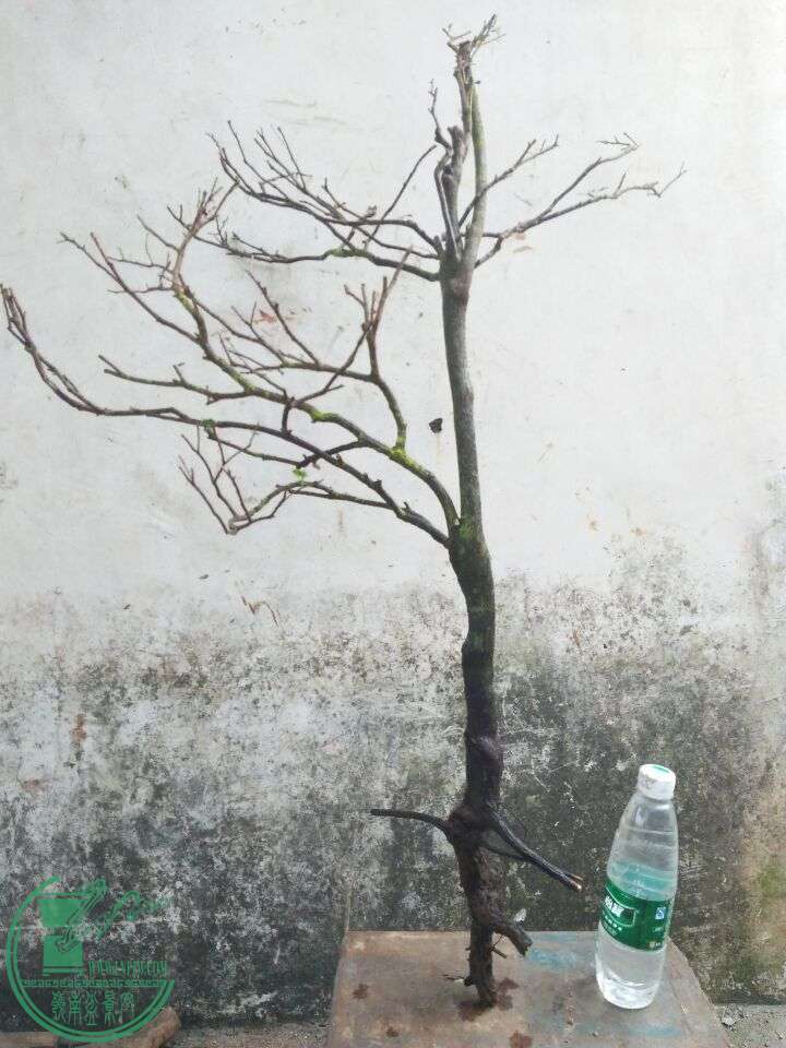 QQͼƬ20160503202015.jpg