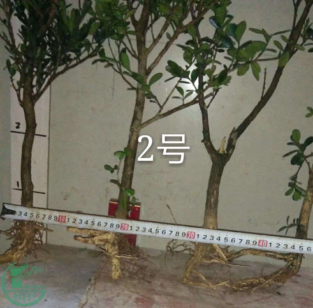 QQͼƬ20160503202012.jpg
