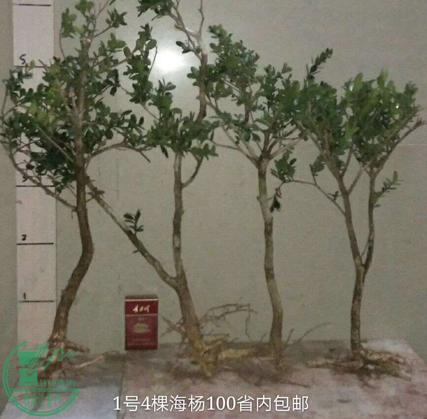 QQͼƬ20160503202019.jpg