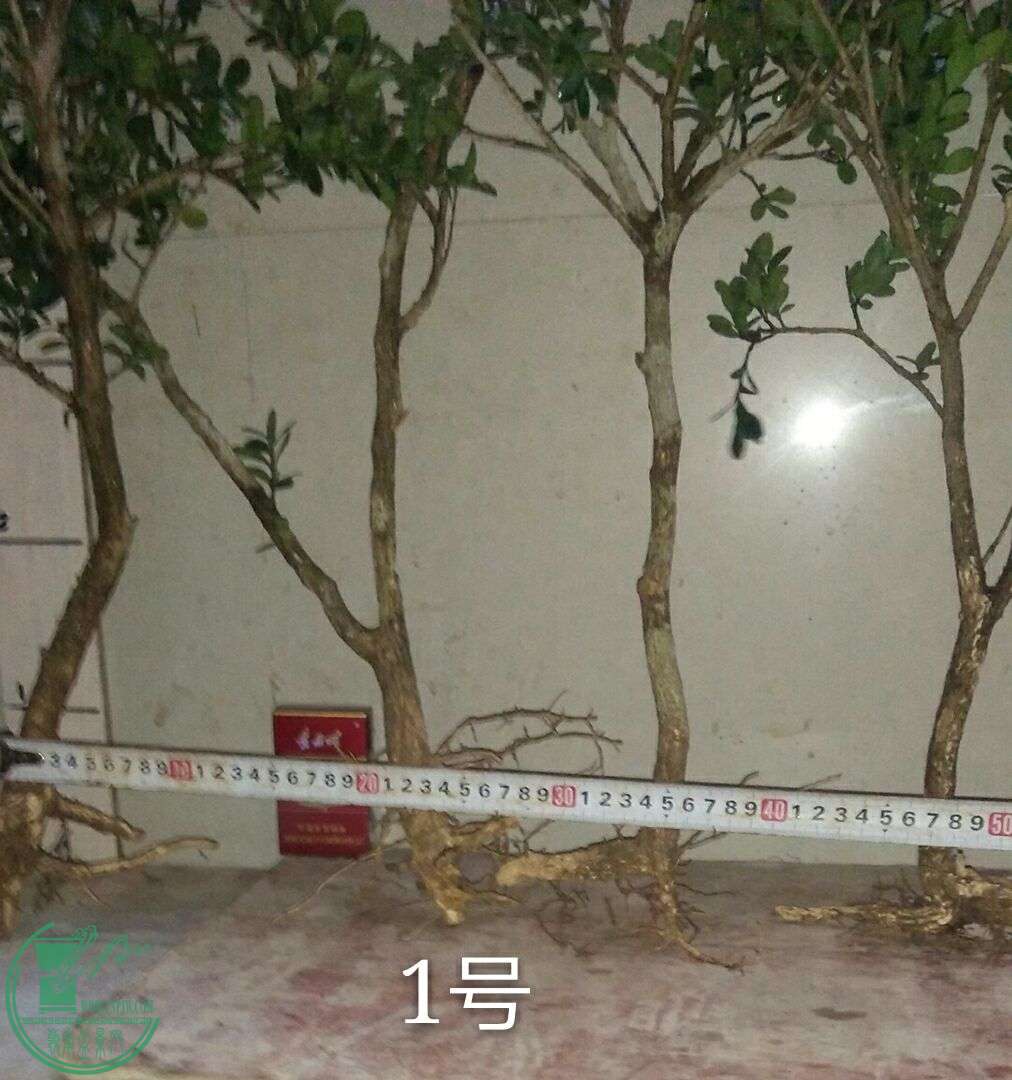 QQͼƬ20160503201936.jpg