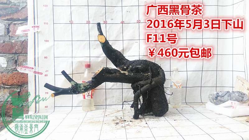IMG_20160503_185129_.jpg