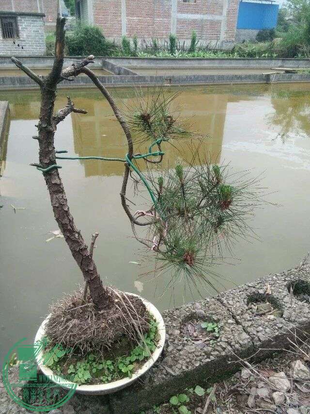 QQͼƬ20160504152133.jpg