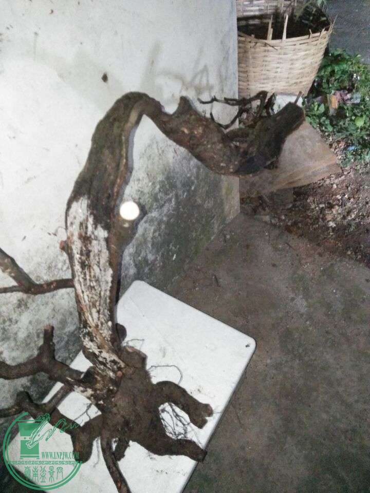QQͼƬ20160504211209.jpg