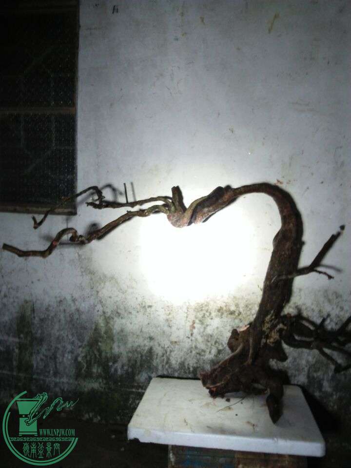 QQͼƬ20160504211220.jpg