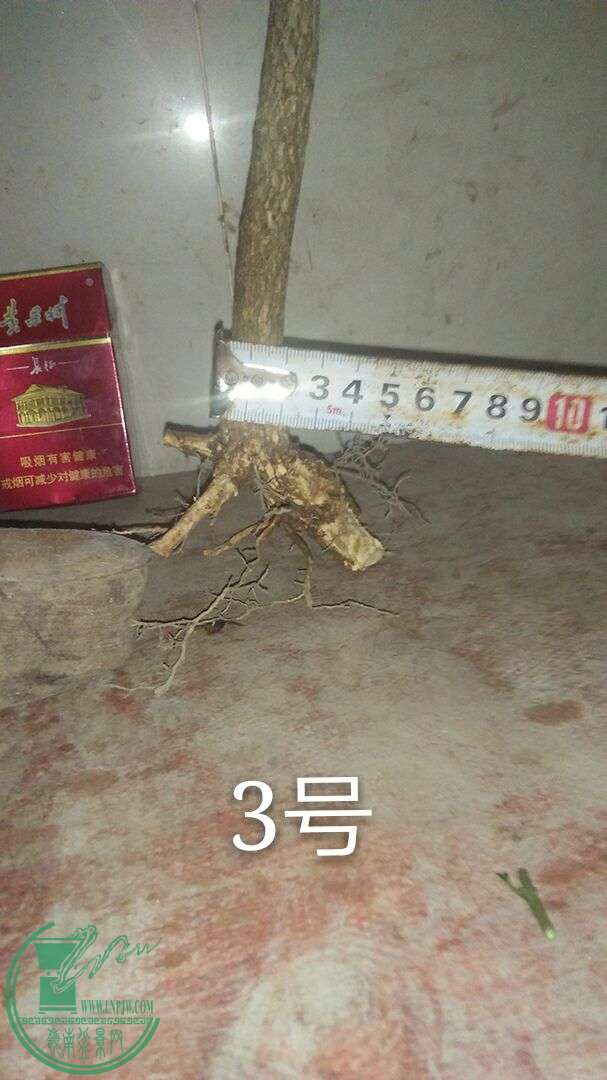 QQͼƬ20160504220209.jpg