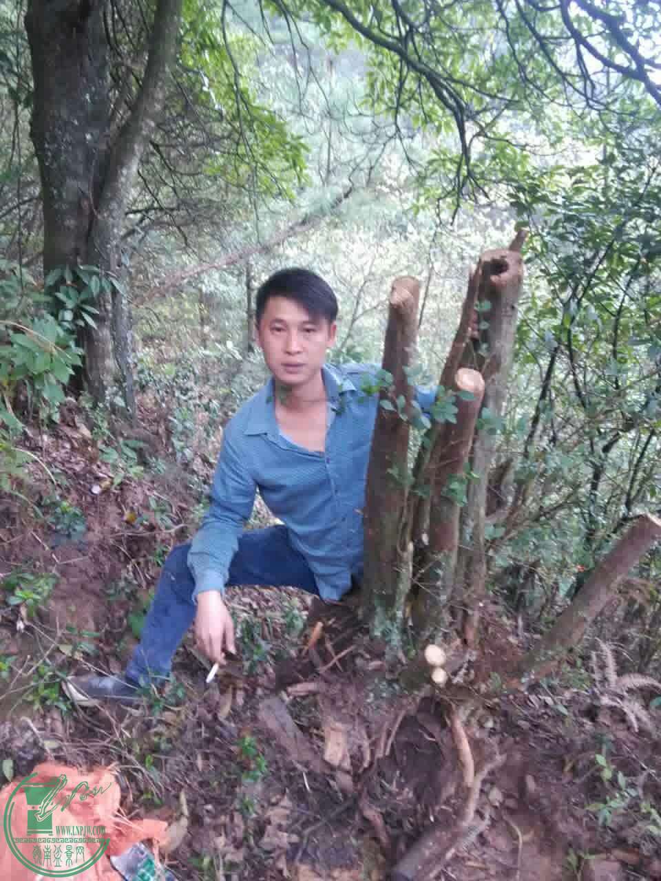 ʮ幫