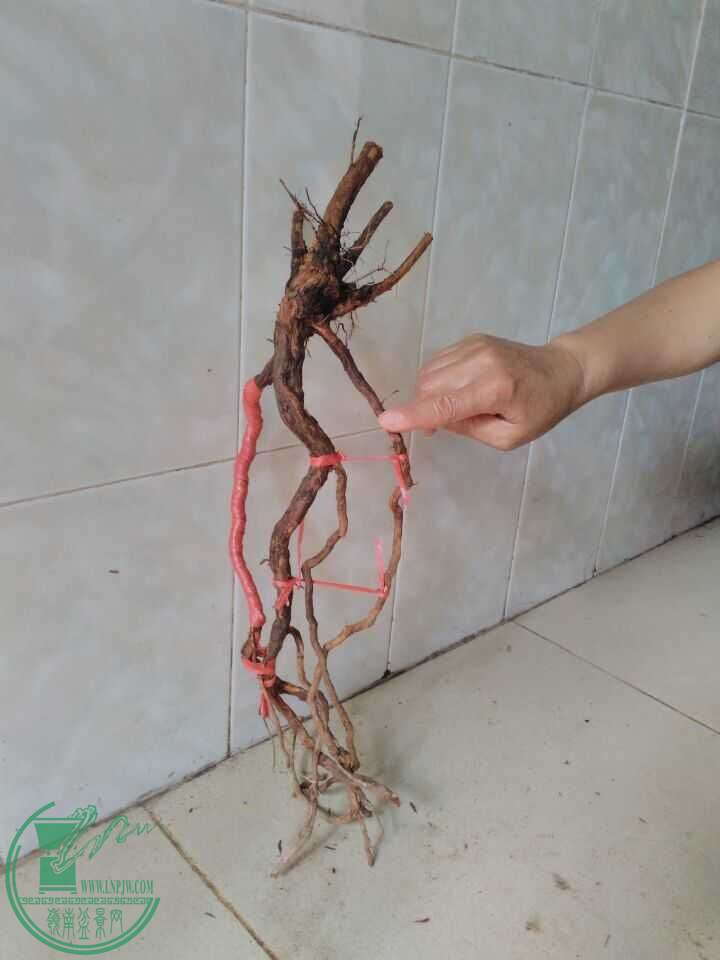 QQͼƬ20160505163415.jpg