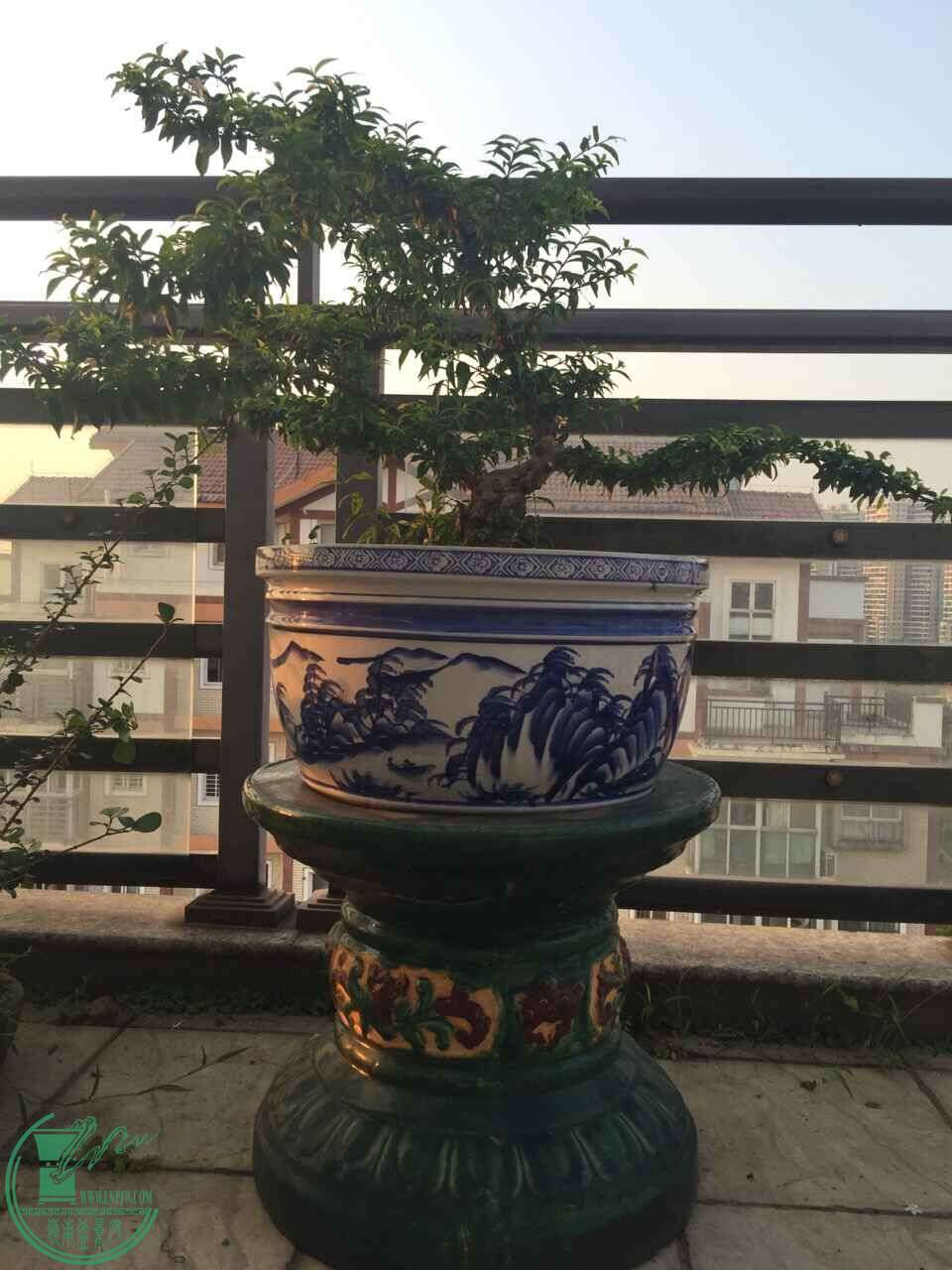 QQͼƬ20160506080518.jpg
