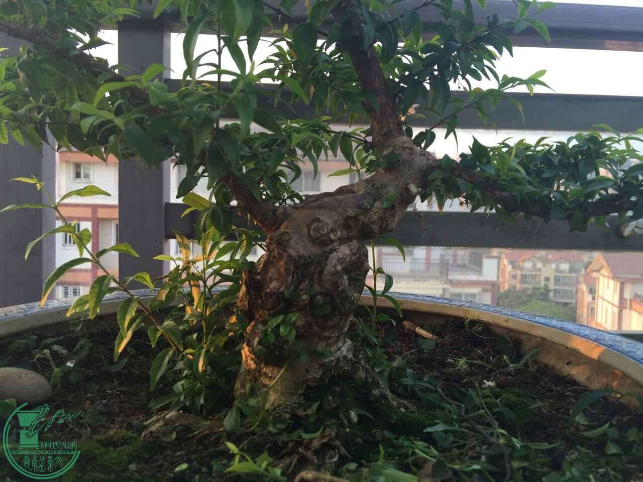 QQͼƬ20160506080553.jpg