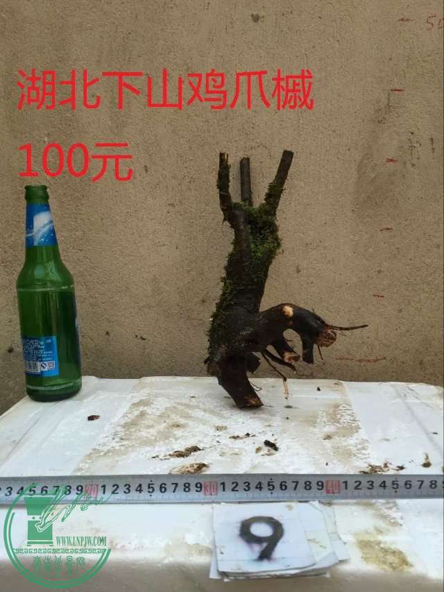 9.jpg