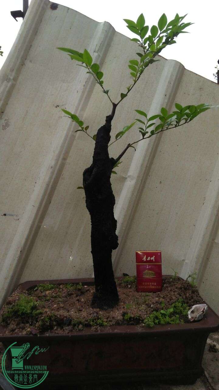 QQͼƬ20160506201523.jpg