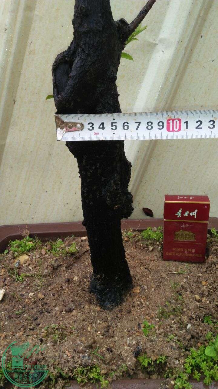 QQͼƬ20160506201519.jpg