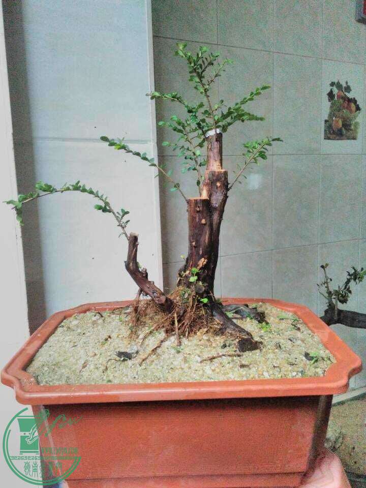 QQͼƬ20160507212227.jpg