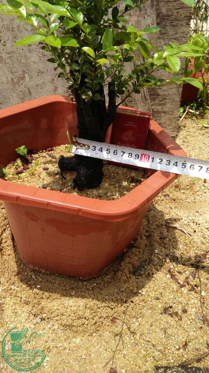 QQͼƬ20160507214222.jpg
