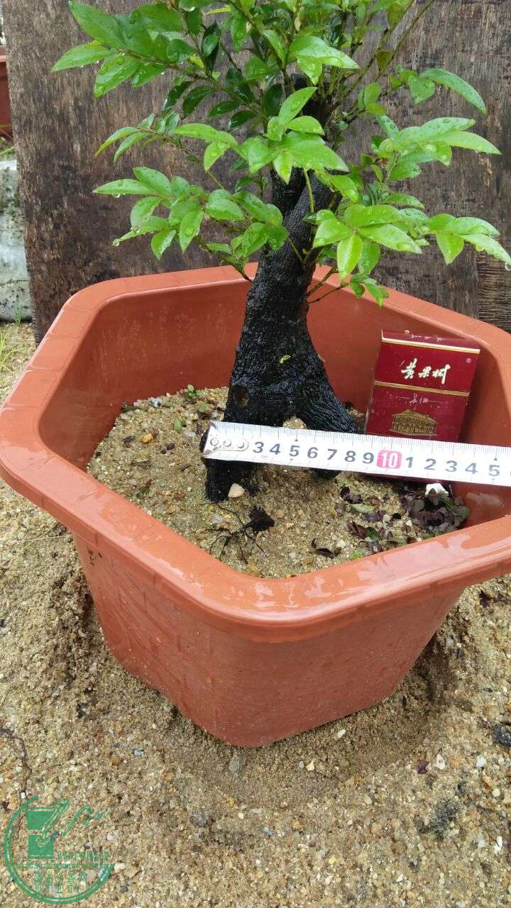 QQͼƬ20160507214217.jpg