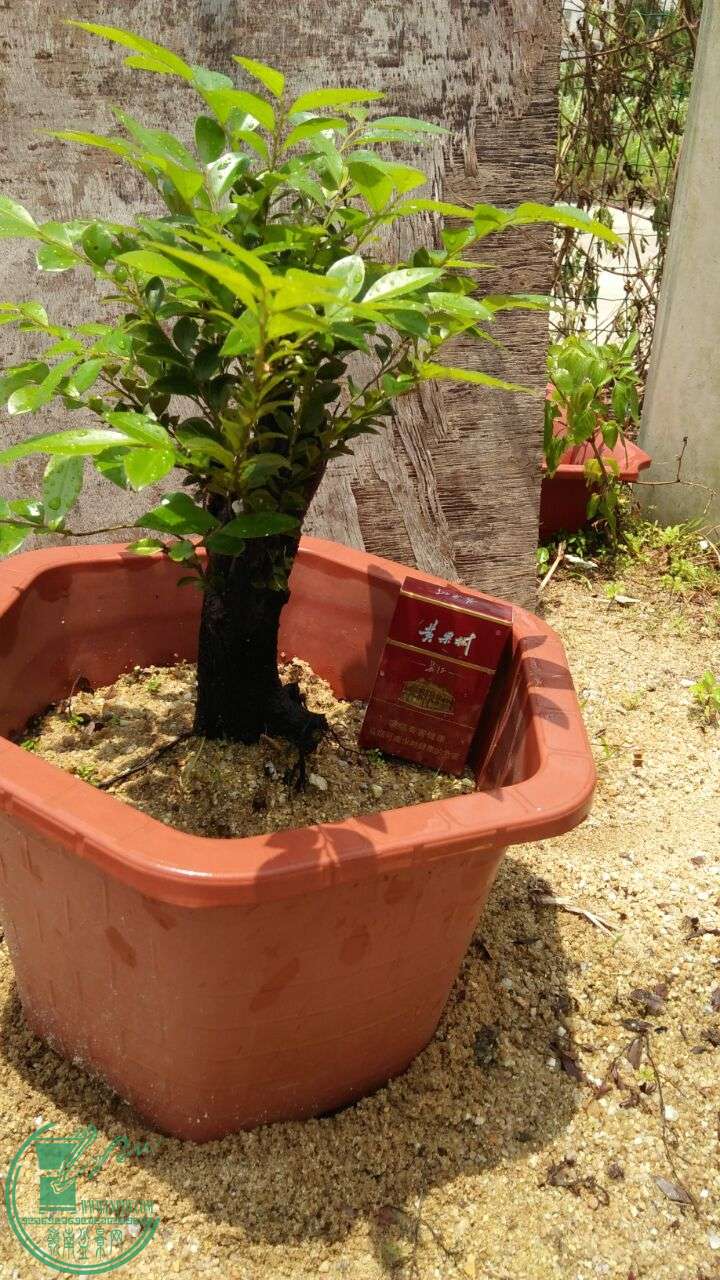 QQͼƬ20160507214138.jpg