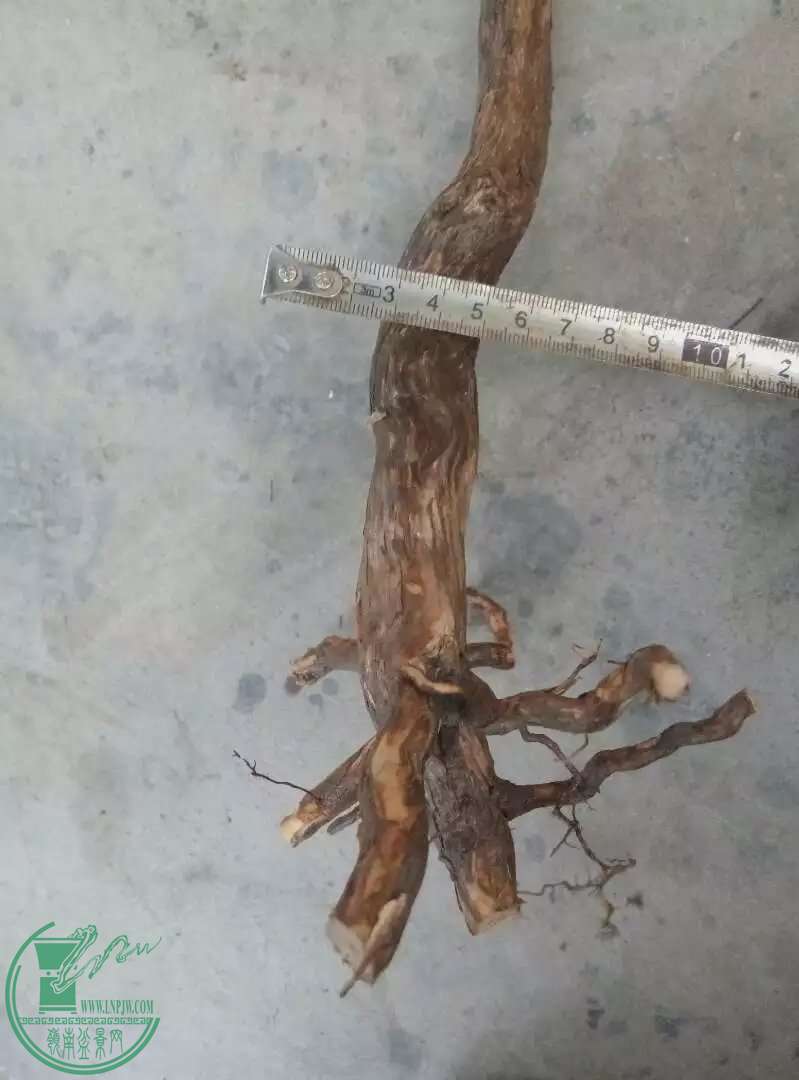 psb[8].jpg