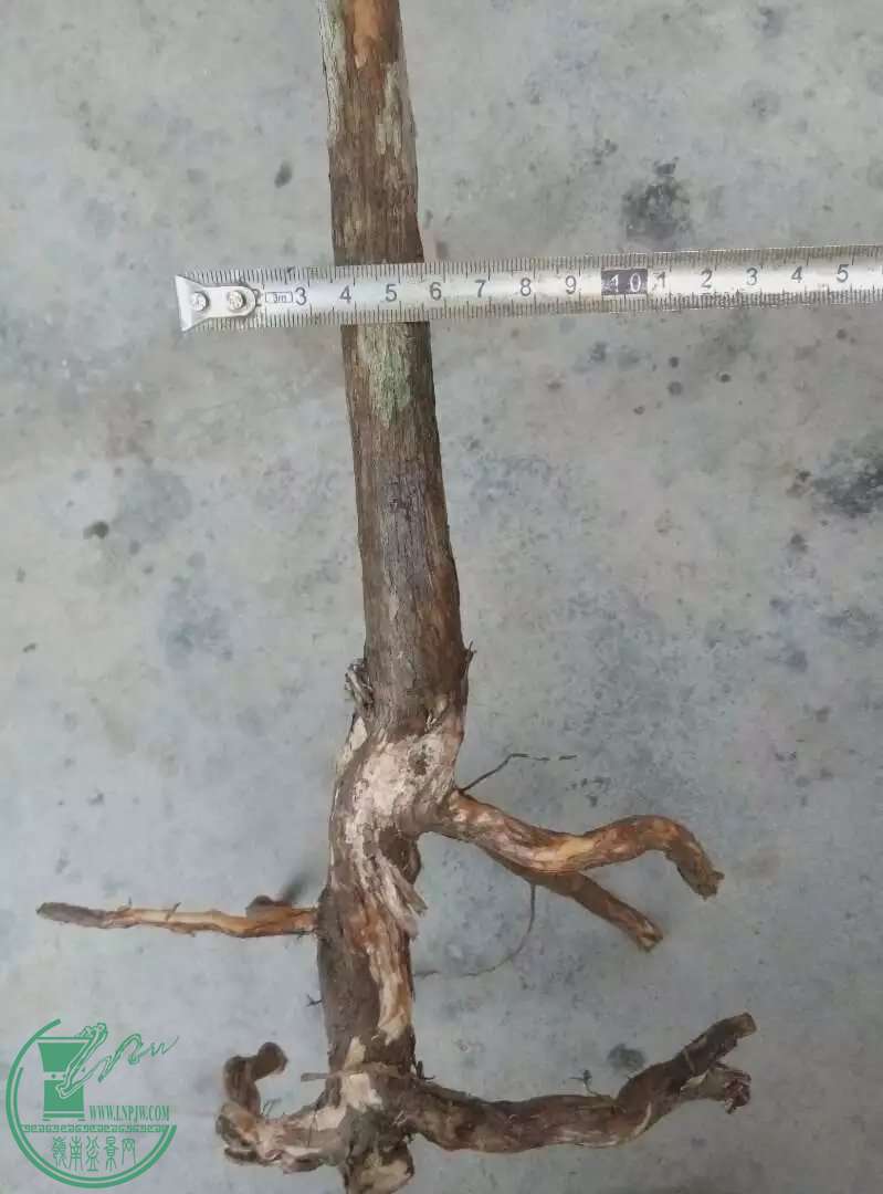 psbN3TSYM9U.jpg