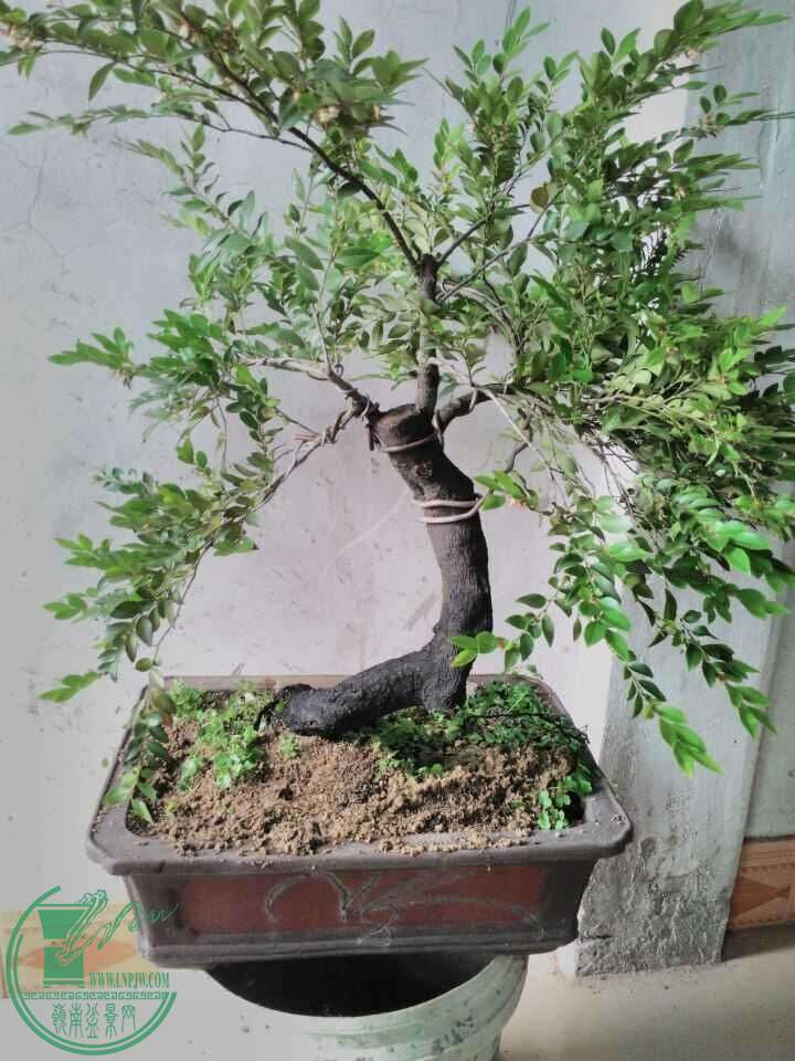 QQͼƬ20160509214252.jpg