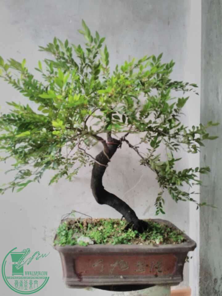 QQͼƬ20160509214257.jpg