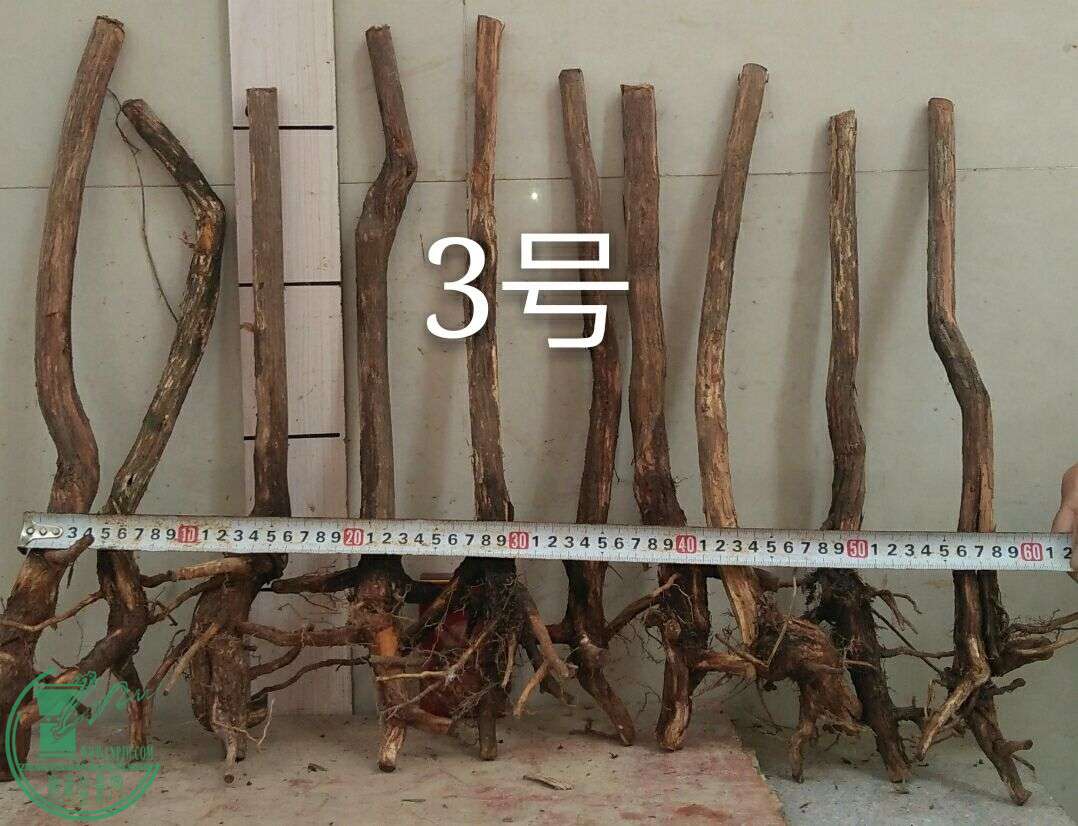 QQͼƬ20160510193357.jpg