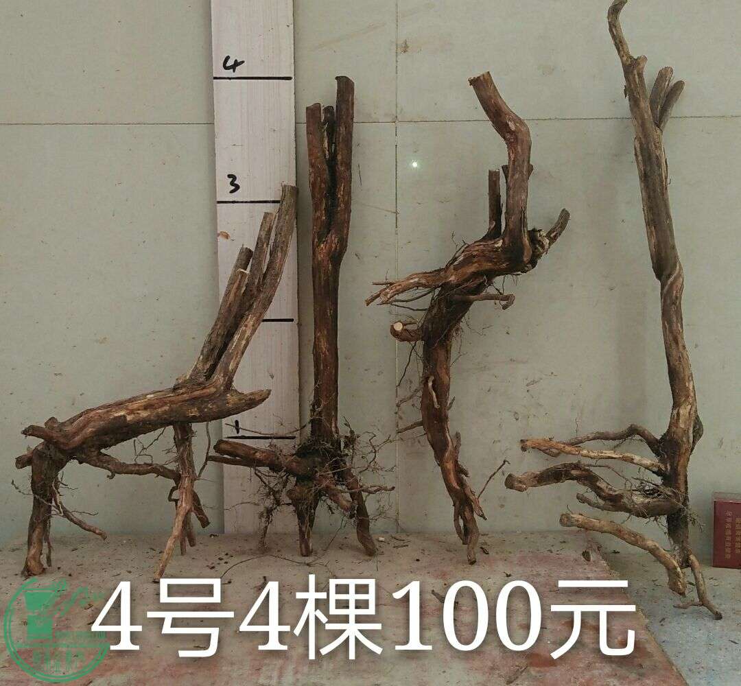QQͼƬ20160510193352.jpg