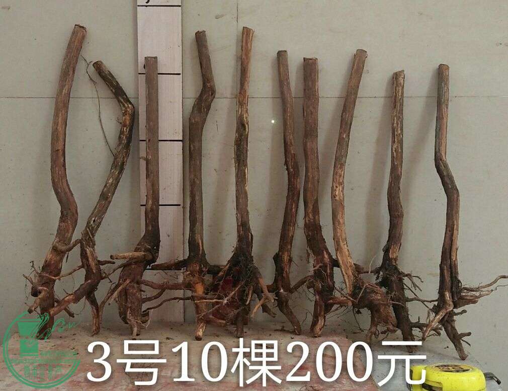 QQͼƬ20160510193408.jpg