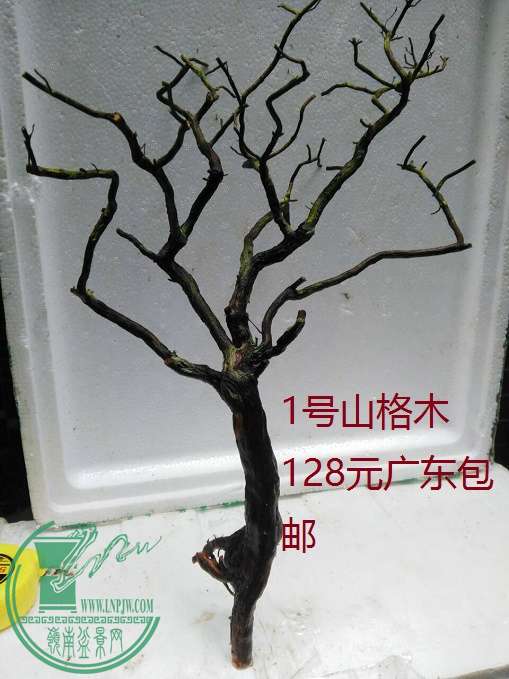 QQͼƬ20160510201856.jpg