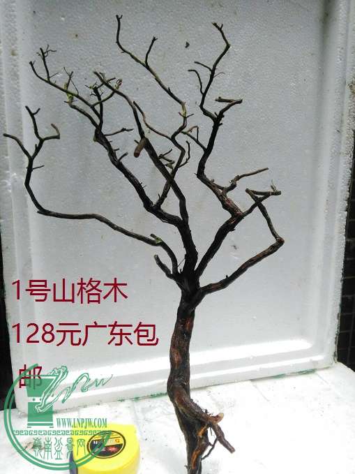 QQͼƬ20160510201901.jpg