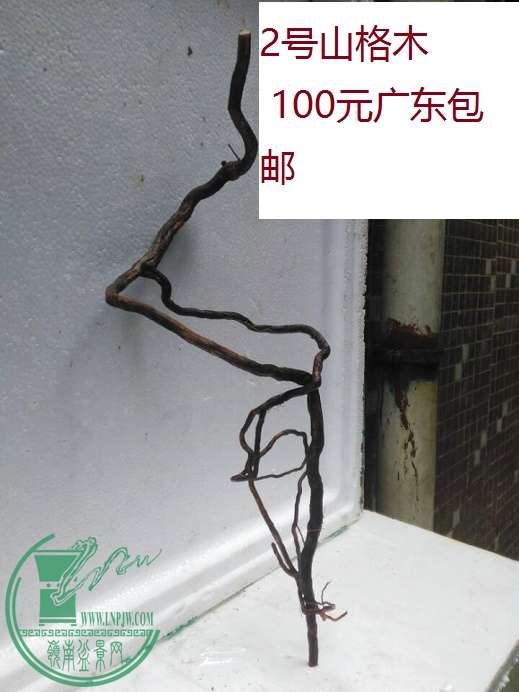 QQͼƬ20160510201918.jpg