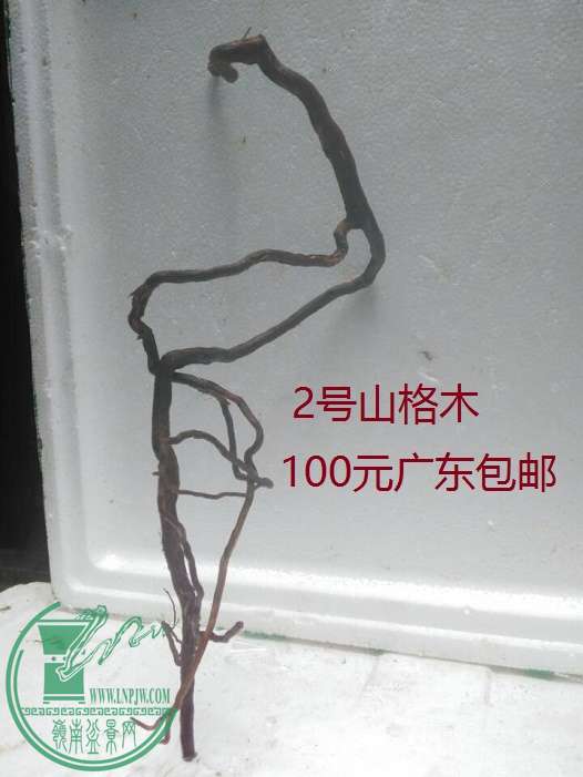 QQͼƬ20160510201948.jpg