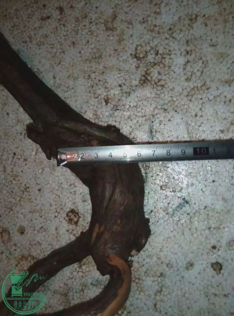psb[7].jpg