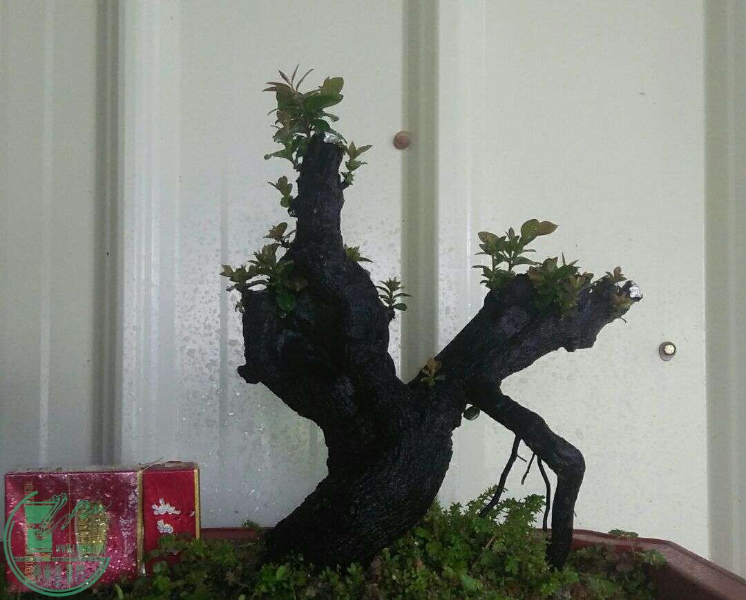 QQͼƬ20160511202647.jpg