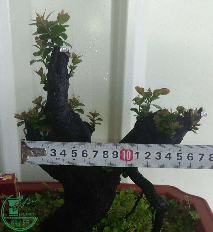 QQͼƬ20160511202659.jpg