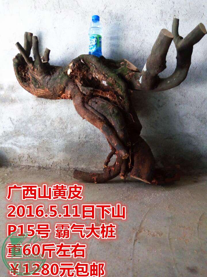 QQͼƬ20160511214440_.jpg