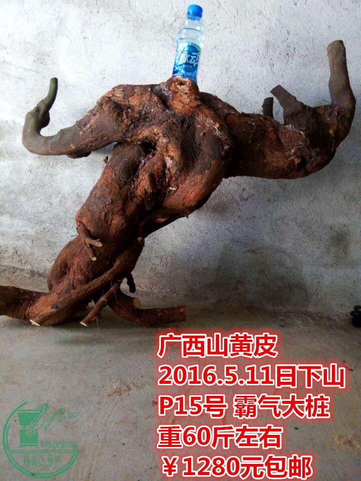 QQͼƬ20160511214445_.jpg