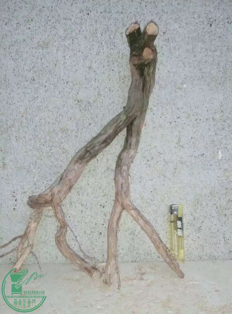 psb[10].jpg
