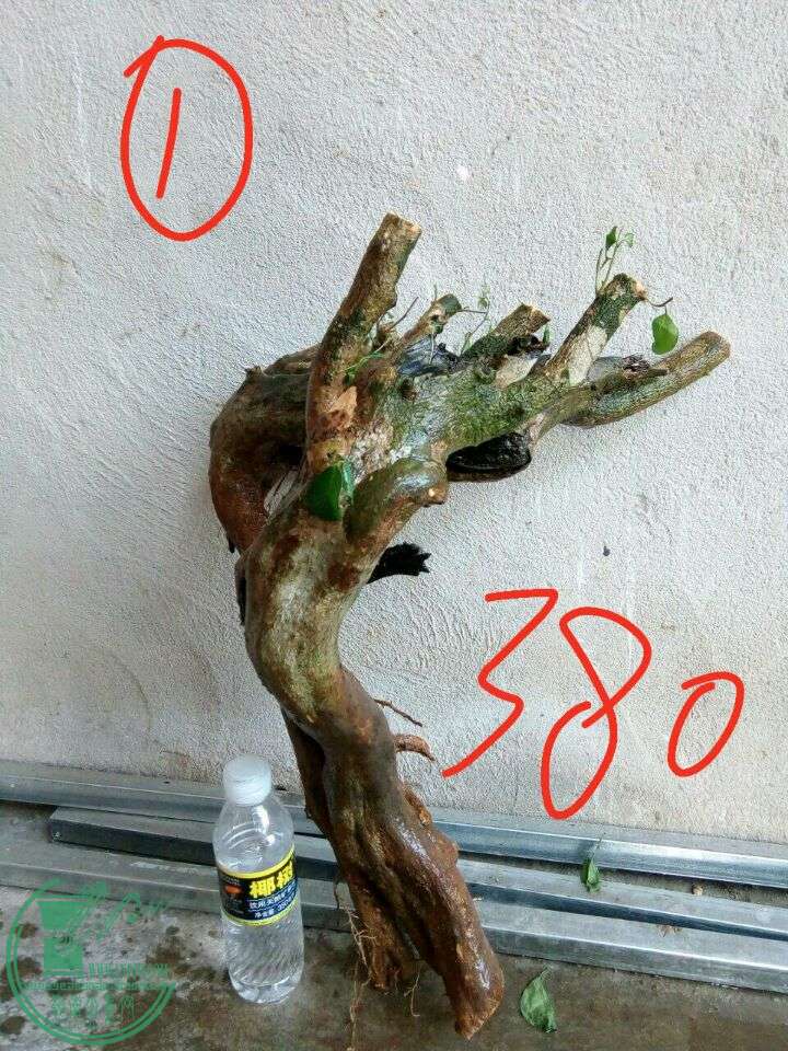 59be2b55f2c9195c.jpg