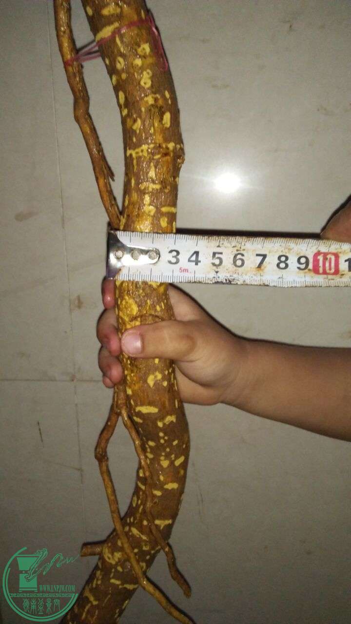 QQͼƬ20160514200911.jpg