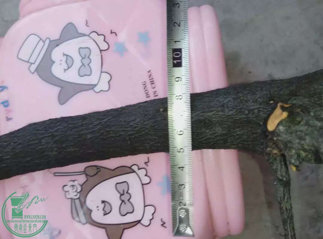 psb5GDQQTEC.jpg
