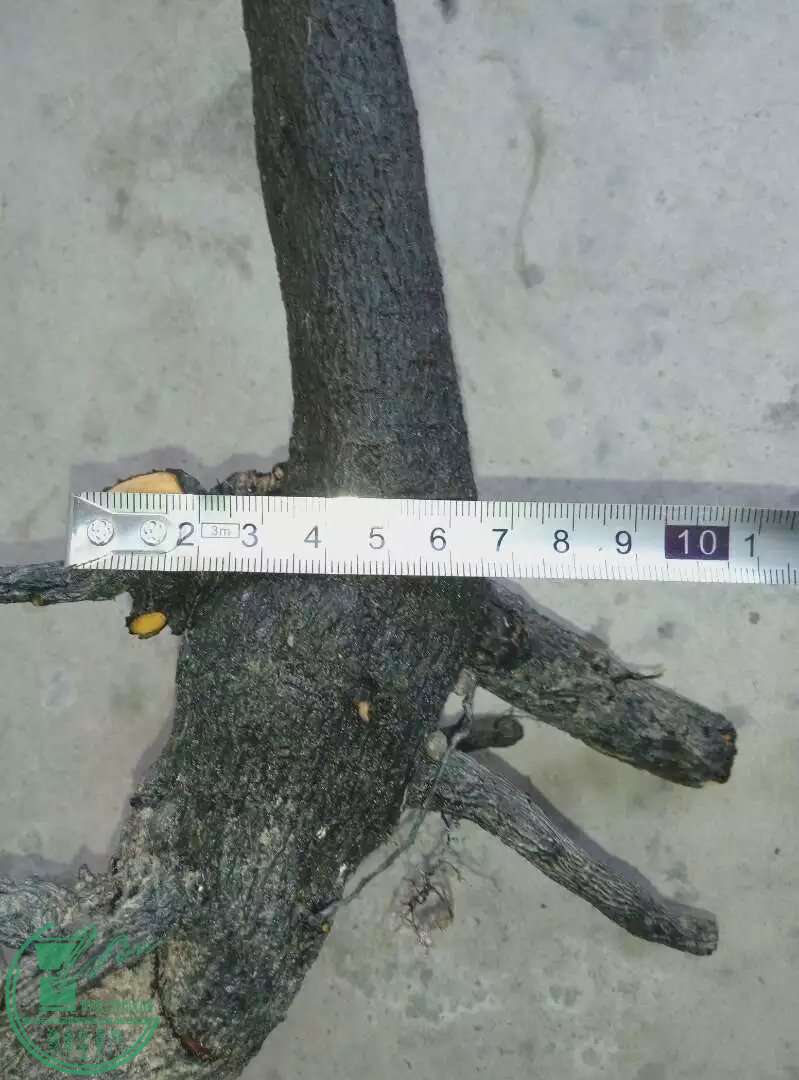 psbLJYGT21E.jpg