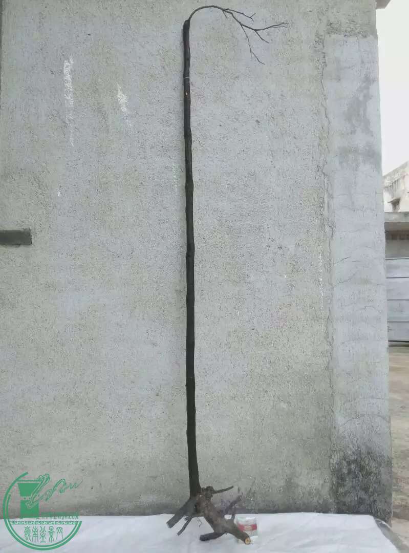 psbRYQJ7OX0.jpg