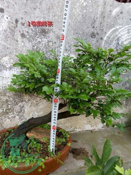 P60514-174445_.jpg