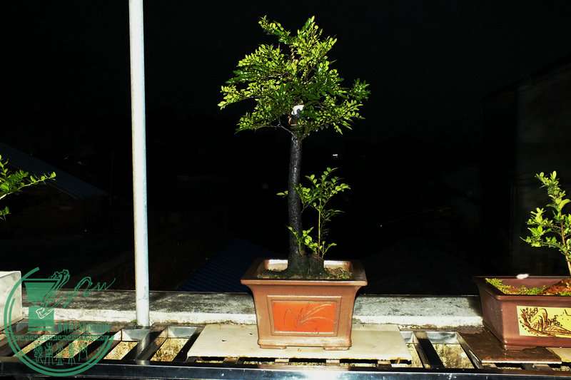 DSCF2799.JPG